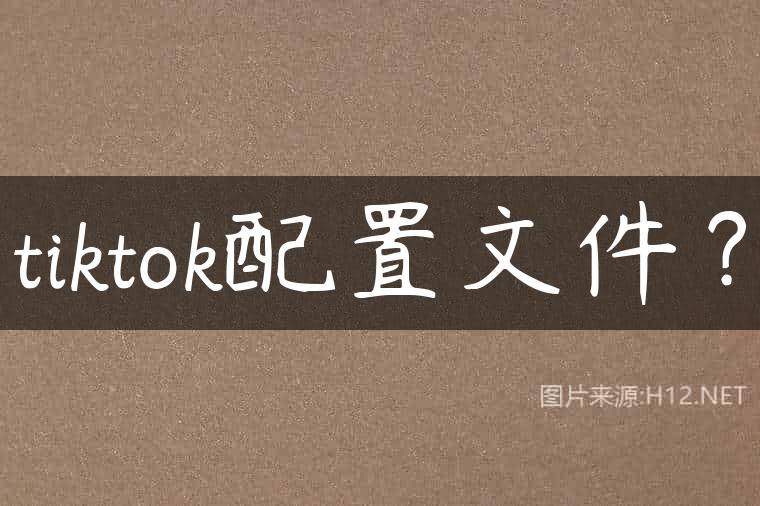 tiktok配置文件？
