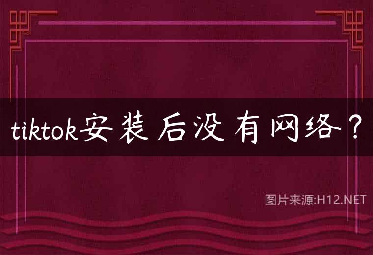 tiktok安装后没有网络？