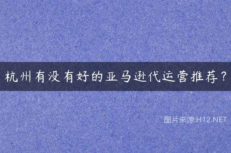 杭州有没有好的亚马逊代运营推荐？