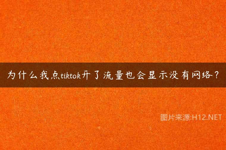 为什么我点tiktok开了流量也会显示没有网络？