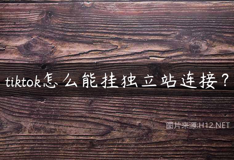 tiktok怎么能挂独立站连接？