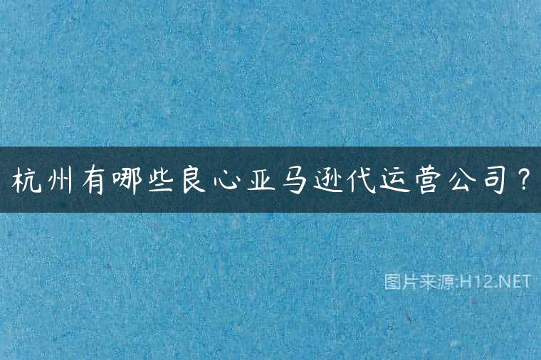杭州有哪些良心亚马逊代运营公司？