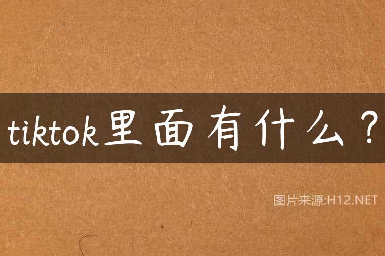 tiktok里面有什么？