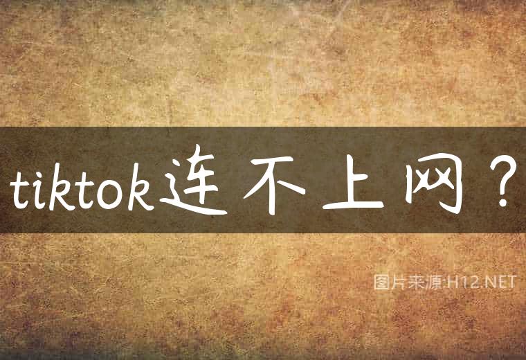 tiktok连不上网？