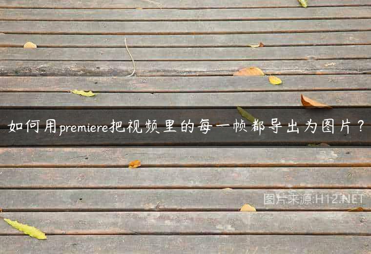 如何用premiere把视频里的每一帧都导出为图片？