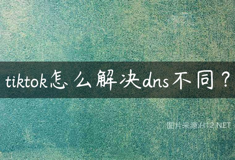 tiktok怎么解决dns不同？