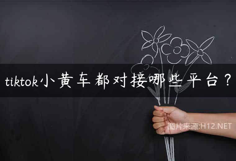 tiktok小黄车都对接哪些平台？