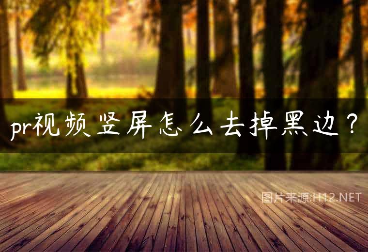 pr视频竖屏怎么去掉黑边？