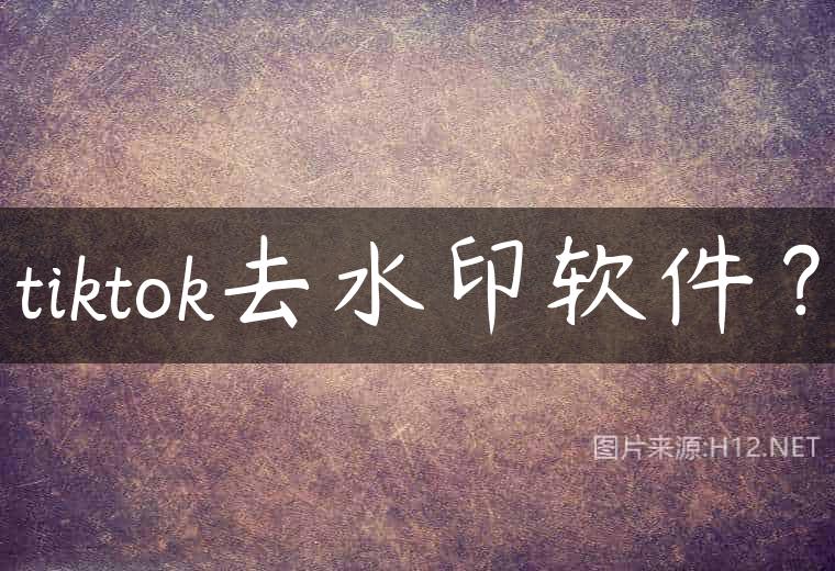 tiktok去水印软件？