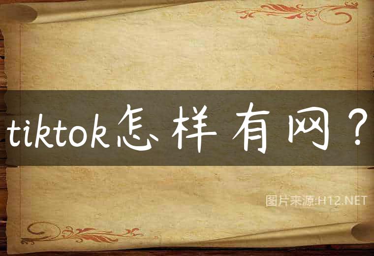 tiktok怎样有网？