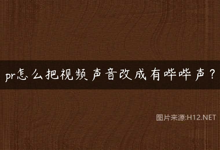 pr怎么把视频声音改成有哔哔声？