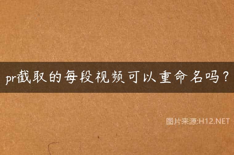 pr截取的每段视频可以重命名吗？