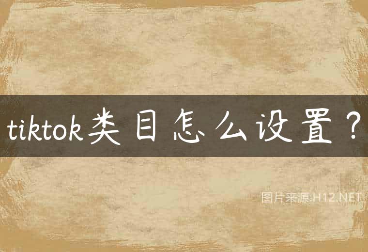 tiktok类目怎么设置？
