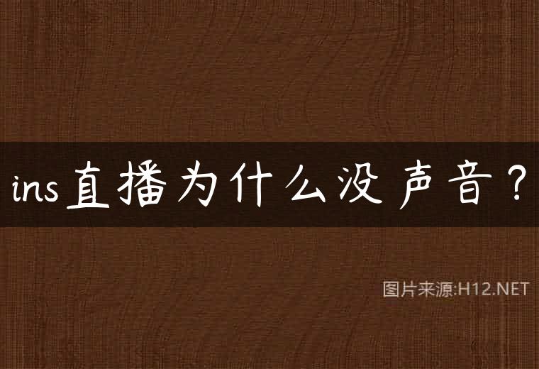 ins直播为什么没声音？
