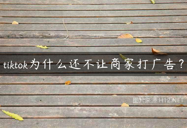 tiktok为什么还不让商家打广告？