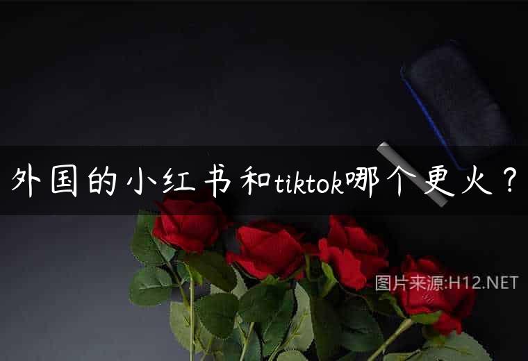 外国的小红书和tiktok哪个更火？