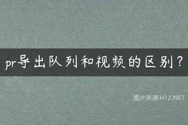 pr导出队列和视频的区别？