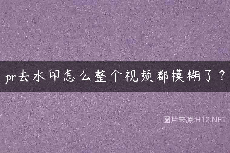pr去水印怎么整个视频都模糊了？