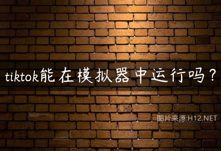 tiktok能在模拟器中运行吗？