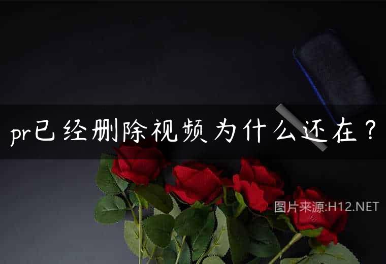 pr已经删除视频为什么还在？