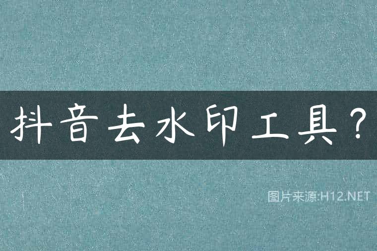抖音去水印工具？
