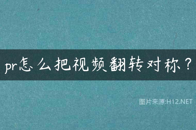 pr怎么把视频翻转对称？