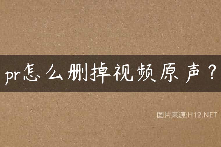 pr怎么删掉视频原声？
