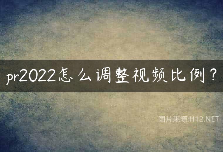 pr2022怎么调整视频比例？