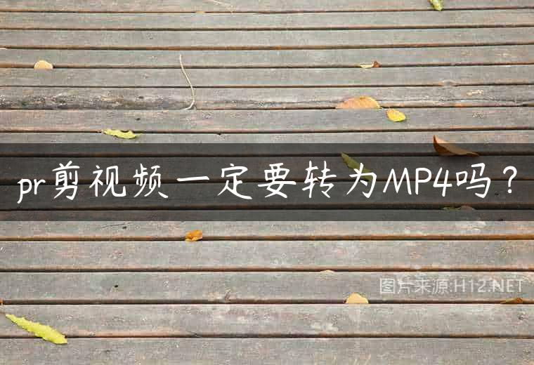 pr剪视频一定要转为MP4吗？