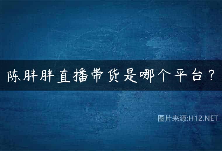 陈胖胖直播带货是哪个平台？