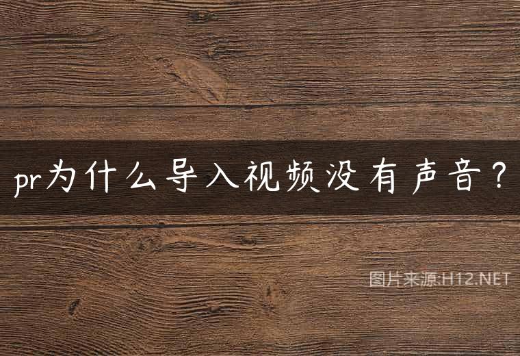 pr为什么导入视频没有声音？