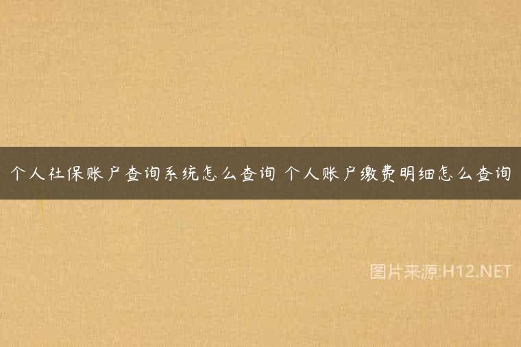 个人社保账户查询系统怎么查询 个人账户缴费明细怎么查询