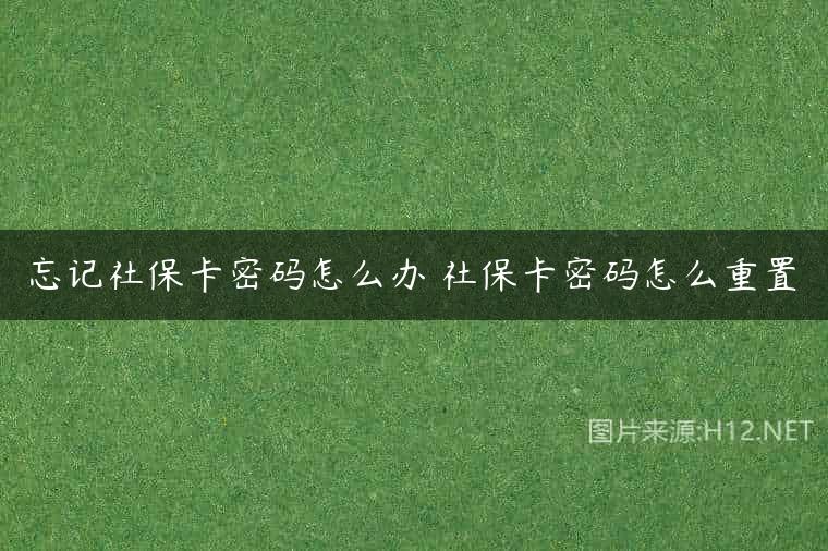 忘记社保卡密码怎么办 社保卡密码怎么重置