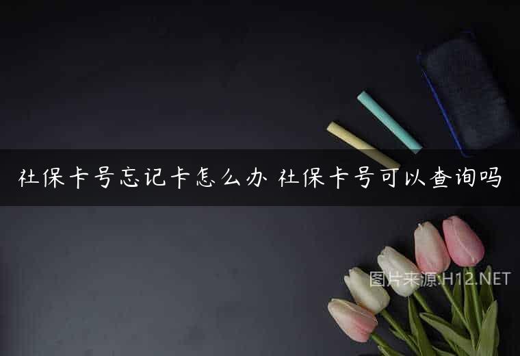 社保卡号忘记卡怎么办 社保卡号可以查询吗