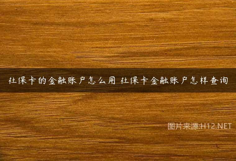 社保卡的金融账户怎么用 社保卡金融账户怎样查询
