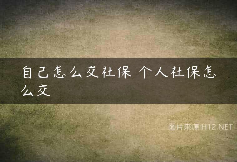 自己怎么交社保 个人社保怎么交