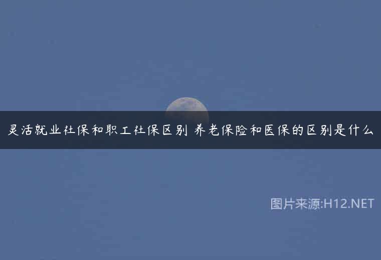 灵活就业社保和职工社保区别 养老保险和医保的区别是什么