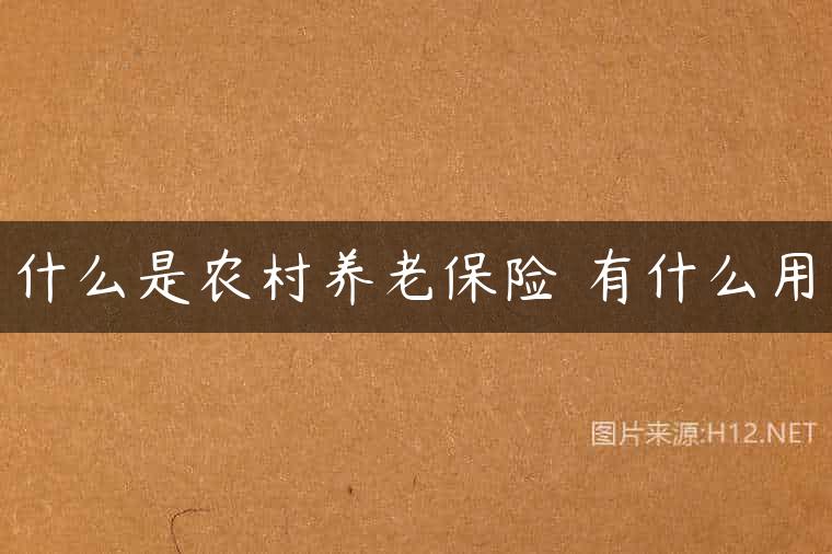 什么是农村养老保险 有什么用
