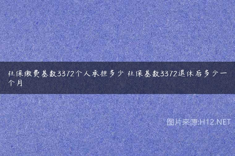 社保缴费基数3372个人承担多少 社保基数3372退休后多少一个月