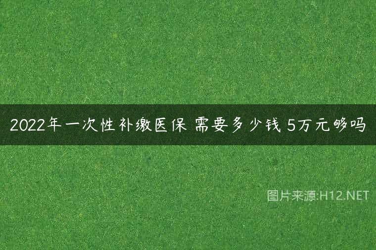 2022年一次性补缴医保 需要多少钱 5万元够吗