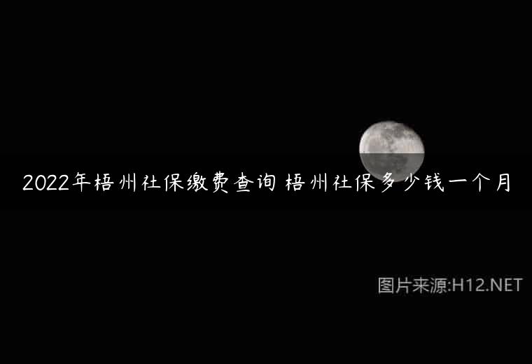 2022年梧州社保缴费查询 梧州社保多少钱一个月