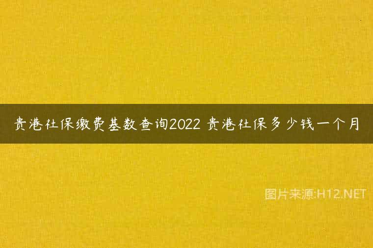 贵港社保缴费基数查询2022 贵港社保多少钱一个月