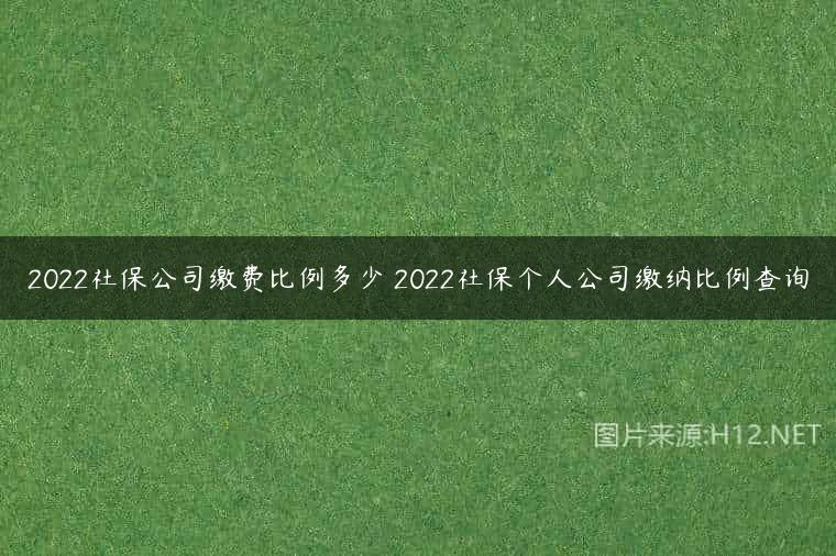 2022社保公司缴费比例多少 2022社保个人公司缴纳比例查询