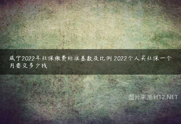 咸宁2022年社保缴费标准基数及比例 2022个人买社保一个月要交多少钱