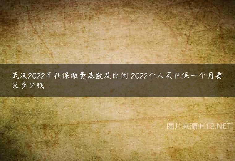 武汉2022年社保缴费基数及比例 2022个人买社保一个月要交多少钱