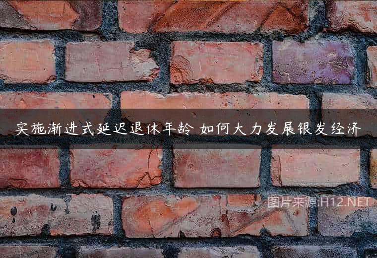 实施渐进式延迟退休年龄 如何大力发展银发经济