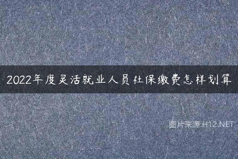2022年度灵活就业人员社保缴费怎样划算