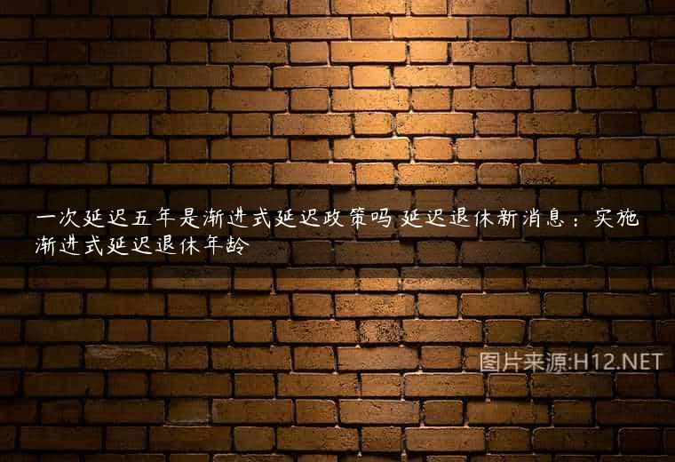 一次延迟五年是渐进式延迟政策吗 延迟退休新消息：实施渐进式延迟退休年龄