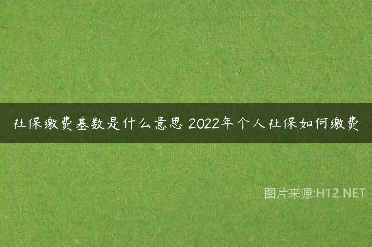 社保缴费基数是什么意思 2022年个人社保如何缴费