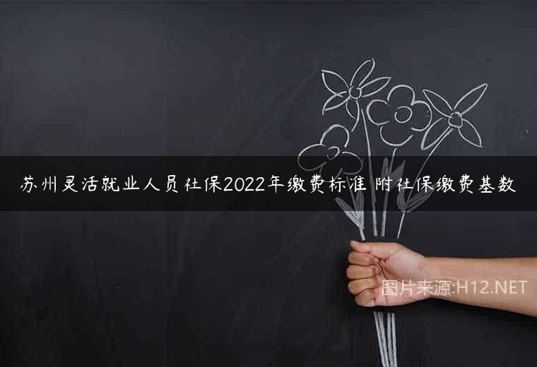 苏州灵活就业人员社保2022年缴费标准 附社保缴费基数